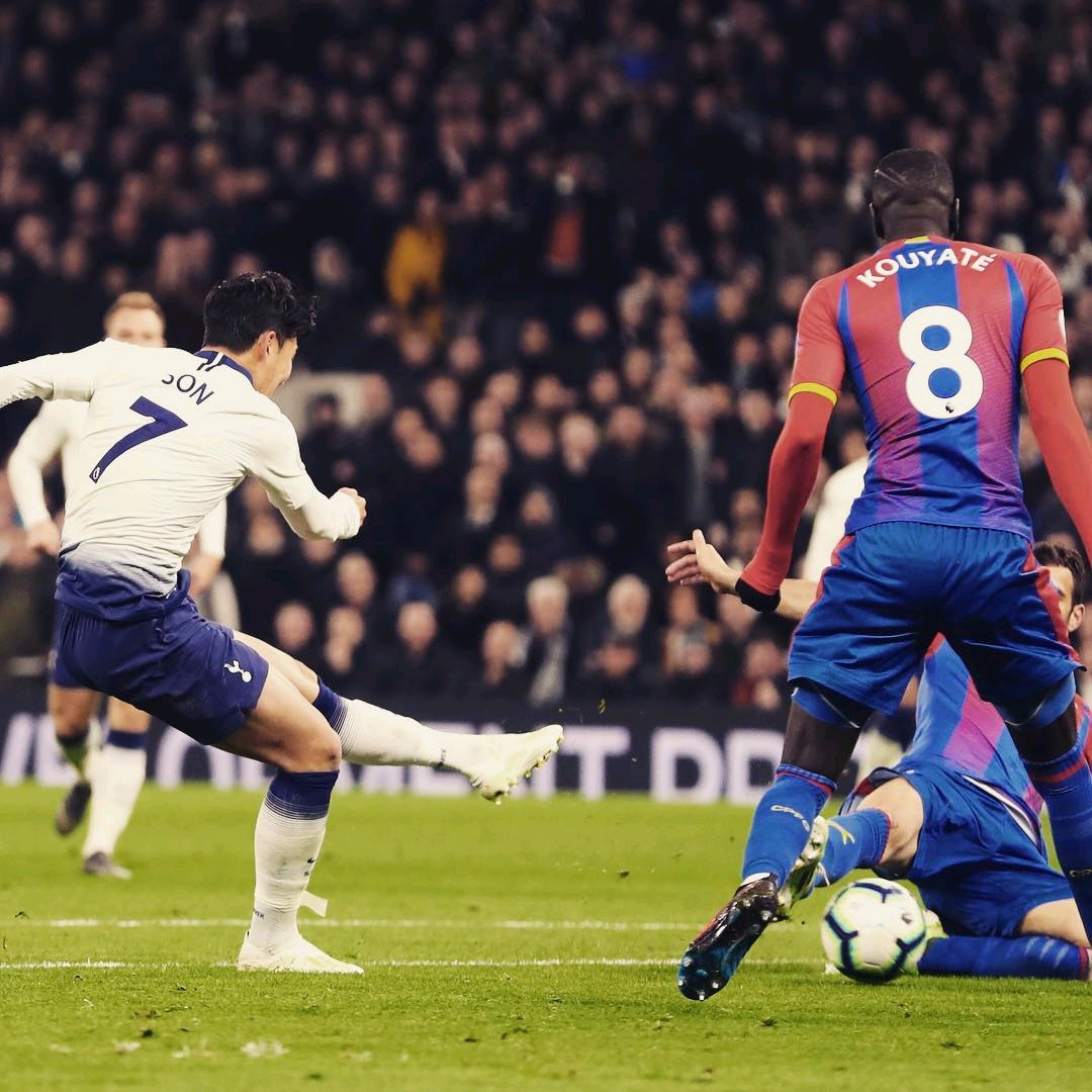 发挥将成为 发挥将成为